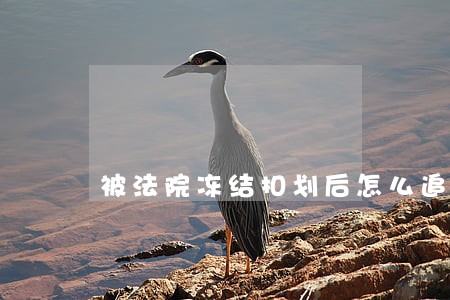 被法院冻结扣划后怎么追回 被法院冻结扣划后怎么追回