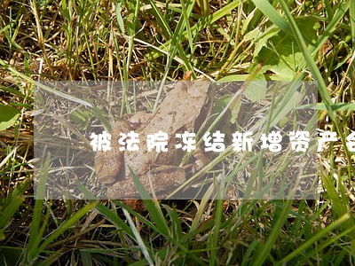 被法院冻结新增资产会被冻结吗 被法院冻结新增资产会被冻结吗