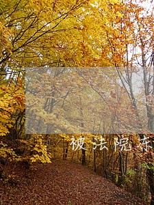 被法院冻结的储蓄卡能销户吗 被法院冻结的储蓄卡能销户吗