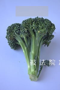 被法院冻结的股票账户 被法院冻结的股票账户