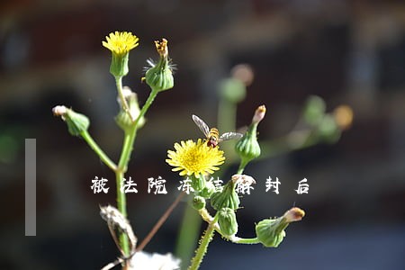 被法院冻结解封后 被法院冻结解封后