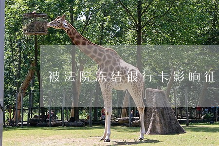 被法院冻结银行卡影响征信吗 被法院冻结银行卡影响征信吗