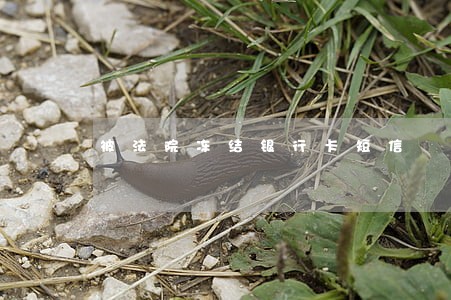 被法院冻结银行卡短信