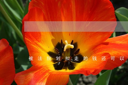 被法院划扣走的钱还可以返回吗 被法院划扣走的钱还可以返回吗