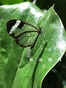 被法院列入失信名单怎样查询 被法院列入失信名单怎样查询