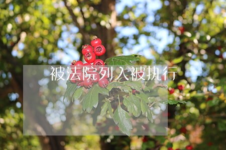 被法院列入被执行 被法院列入被执行