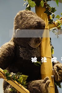 被法院列入限制消费会进入征信嘛 被法院列入限制消费会进入征信嘛