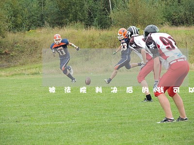 被法院判决后的钱可以分期还 被法院判决后的钱可以分期还