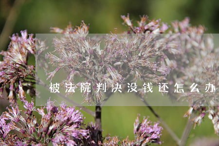 被法院判决没钱还怎么办 被法院判决没钱还怎么办