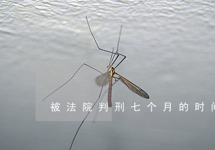 被法院判刑七个月的时间 被法院判刑七个月的时间