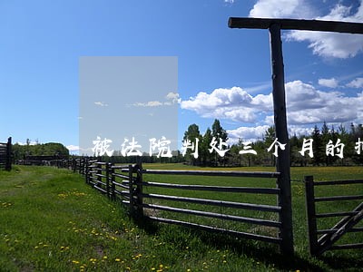 被法院判处三个月的拘役 被法院判处三个月的拘役