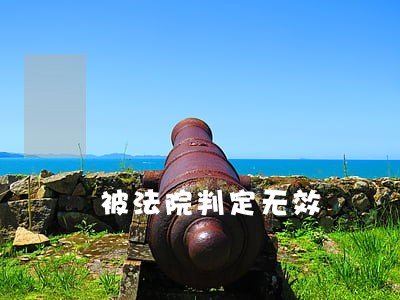 被法院判定无效 被法院判定无效
