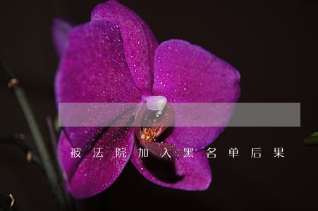 被法院加入黑名单后果 被法院加入黑名单后果
