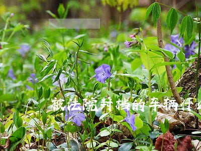 被法院封档的车辆什么时候解封 被法院封档的车辆什么时候解封