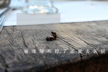被法院布控了还能去医院吗 被法院布控了还能去医院吗