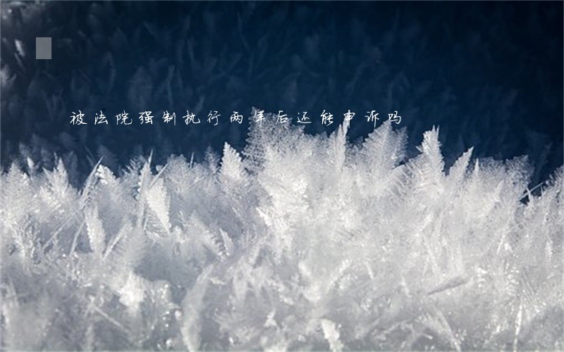 被法院强制执行两年后还能申诉吗