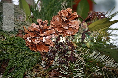 被法院强制执行冻结存款 被法院强制执行冻结存款