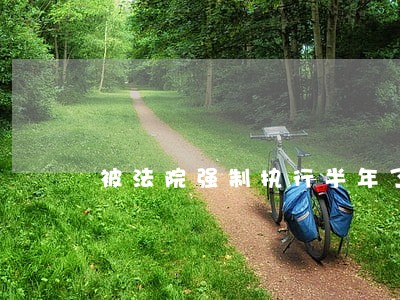 被法院强制执行半年了 被法院强制执行半年了