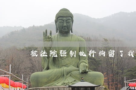 被法院强制执行拘留了我 被法院强制执行拘留了我
