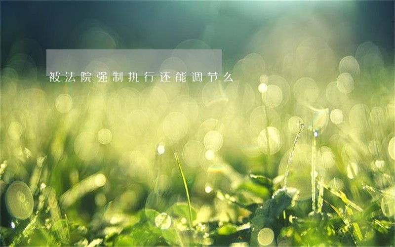 被法院强制执行还能调节么 被法院强制执行还能调节么