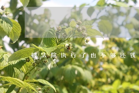 被法院执行了也不够还钱的 被法院执行了也不够还钱的