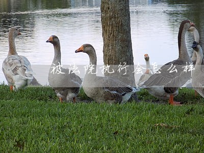 被法院执行会怎么样 被法院执行会怎么样