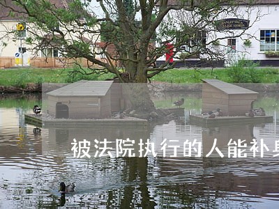 被法院执行的人能补身份证吗 被法院执行的人能补身份证吗