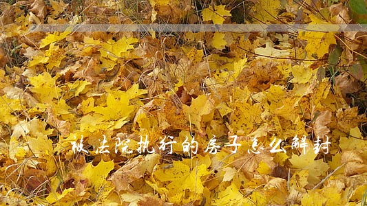 被法院执行的房子怎么解封 被法院执行的房子怎么解封