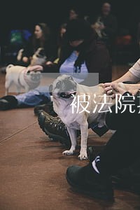 被法院执行能否买地铁票 被法院执行能否买地铁票