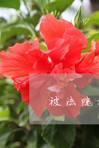 被法院拉黑后银行卡是否被冻结 被法院拉黑后银行卡是否被冻结