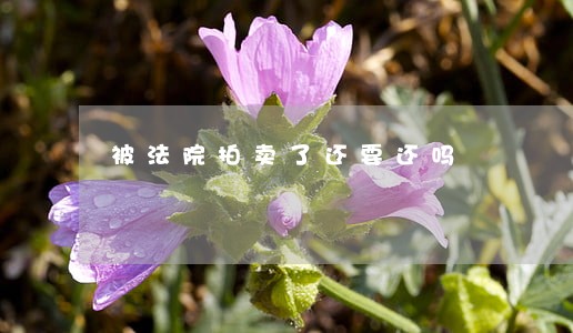 被法院拍卖了还要还吗 被法院拍卖了还要还吗