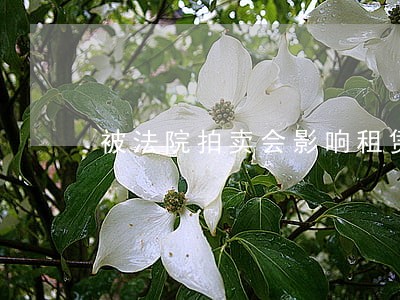 被法院拍卖会影响租赁合同 被法院拍卖会影响租赁合同
