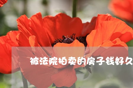 被法院拍卖的房子钱好久到手 被法院拍卖的房子钱好久到手