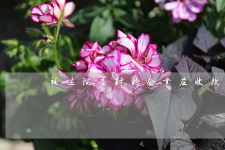 被法院查封的企业应收款怎么办