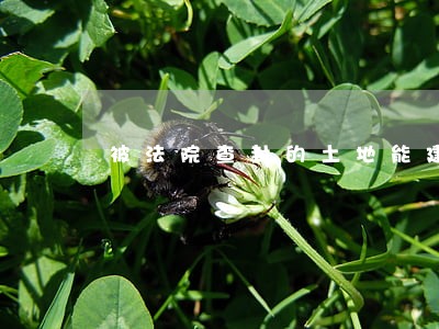 被法院查封的土地能建房子吗 被法院查封的土地能建房子吗