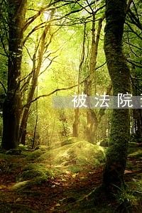 被法院查封的房产出售