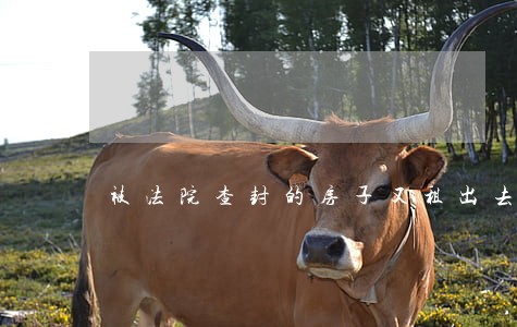被法院查封的房子又租出去 被法院查封的房子又租出去