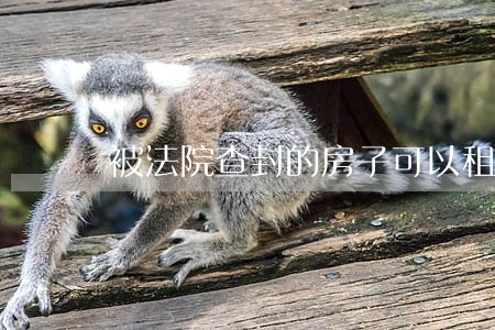 被法院查封的房子可以租赁吗 被法院查封的房子可以租赁吗