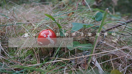 被法院查封的房子能使用吗 被法院查封的房子能使用吗