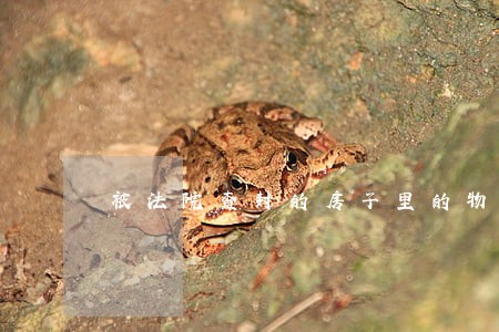 被法院查封的房子里的物品 被法院查封的房子里的物品
