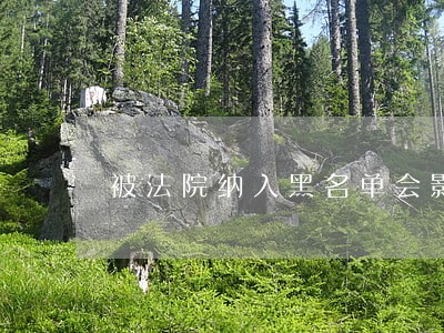 被法院纳入黑名单会影响贷款吗 被法院纳入黑名单会影响贷款吗