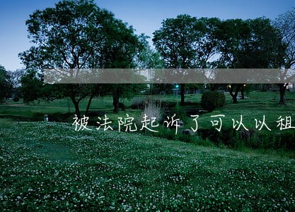 被法院起诉了可以以租代购买车吗 被法院起诉了可以以租代购买车吗