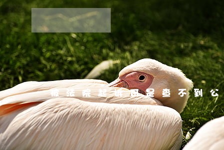 被法院起诉可是查不到公告 被法院起诉可是查不到公告