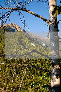 被法院起诉后可以出国吗 被法院起诉后可以出国吗