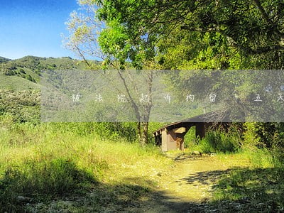 被法院起诉拘留十五天 被法院起诉拘留十五天