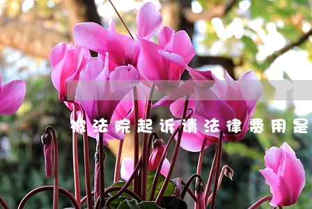 被法院起诉请法律费用是多少钱 被法院起诉请法律费用是多少钱