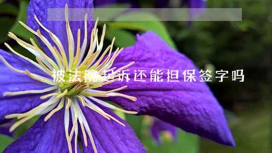 被法院起诉还能担保签字吗 被法院起诉还能担保签字吗