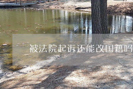 被法院起诉还能改国籍吗 被法院起诉还能改国籍吗