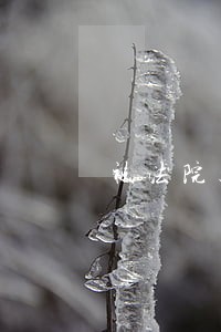 被法院起诉还能贷款买房吗
