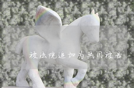 被法院追加为共同被告 被法院追加为共同被告